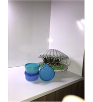 Tupperware Şeker Üçüzler Mavi