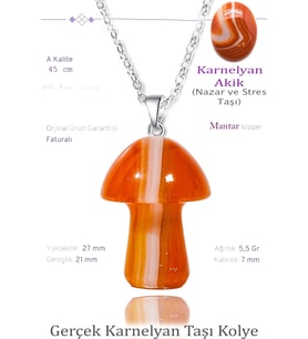 Sertifikalı Mantar Model Karnelyan Akik Taşı Kolye - Gümüş Aparatlı (Çok Renkli)