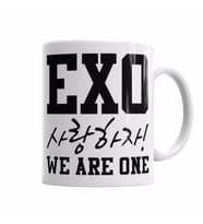 Exo We Are One Kupa Bardak Porselen