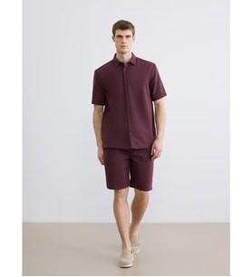 LCW Vision Mürdüm Regular Fit Erkek Şort