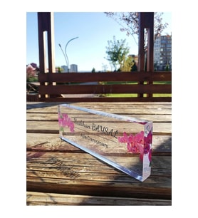 Pembe Çiçek Dansı  3d Modern Görünümlü Kişiselleştirilmiş İsimlik