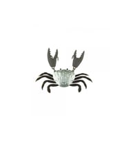 Japanese Yengeç Crab HG2561