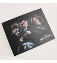 Harry Potter 16 Parça Asa Anahtarlık Kolye Rozet Özel Kutulu Aksesuar Seti