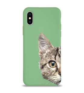 Apple iPhone XS Max Uyumlu Lansman Kılıf Catface Tasarımlı İçi Kadife Kapak-Yeşil (Şeffaf)