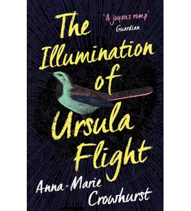The Illumination Of Ursula Flight (Krem)