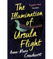 The Illumination Of Ursula Flight (Krem)
