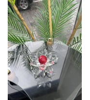 Gaelle Dekoratif Lotus (Kırmızı)