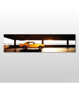 Mustang Kanvas Tablo 180x60cm (Karışık)