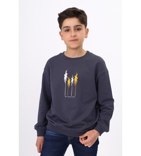 Toontoy Erkek Çocuk Baskılı Sweatshirt (Füme)