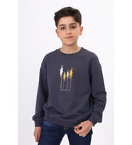 Toontoy Erkek Çocuk Baskılı Sweatshirt (Füme)