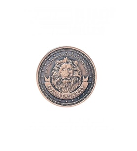 AgaKulche Galatasaray 24. Şampiyonluk Kutulu Bronz Sikke Coin (Gümüş)