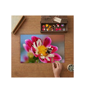 Pembe Çiçeğe Konan Arı Tasarımı 240 parça Ahşap Puzzle Ahşap Kutuda MP00081