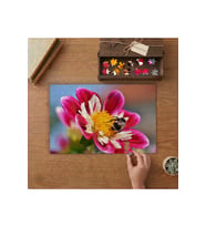 Pembe Çiçeğe Konan Arı Tasarımı 240 parça Ahşap Puzzle Ahşap Kutuda MP00081