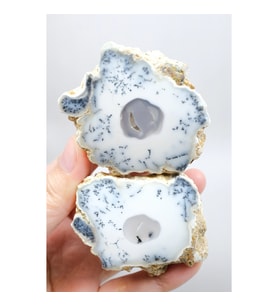 Dendritik Rüyalar: Bölünmüş Opal - Merlinit, 185g