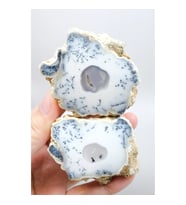 Dendritik Rüyalar: Bölünmüş Opal - Merlinit, 185g