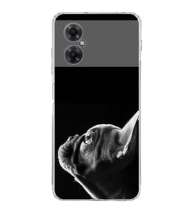 PrintiFy Redmi Note 11 ile Uyumlu Köpek 1 Kamera Korumalı Şeffaf Kılıf