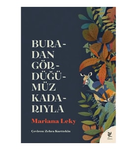 Buradan Gördüğümüz Kadarıyla