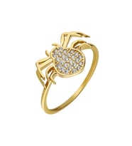 Zirkon Taşlı Spider Tasarım Gold Renk 925 Ayar Gümüş Bayan Yüzük