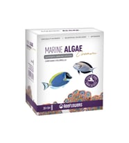 Reeflowers Freshwater Marin Algae Cream 5GRx20 Skt: 12/2027
