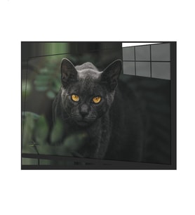 Siyah Kedi Cam Tablo