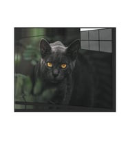 Siyah Kedi Cam Tablo