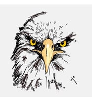 Kartal göz keskin gözlem araba Sticker 17CM