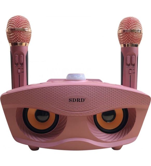 SDRD Sd-306 Karaoke Mikrofonlu Set Bluetooth Hoparlör - Speaker