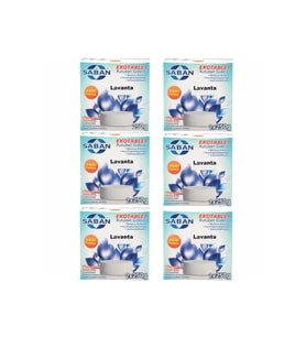 Nem Alıcı Rutubet Giderici Yedek Tablet 6'lı 2 x 250 Gram Lavanta