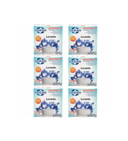 Nem Alıcı Rutubet Giderici Yedek Tablet 6'lı 2 x 250 Gram Lavanta