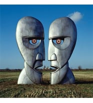 Pink Floyd The Division Bell (Remastered) - Plak