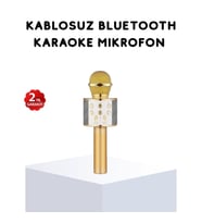 Mey İthalat® Karaoke Mikrofonu Bluetooth USB AUX Girişli Yankı Efektli
