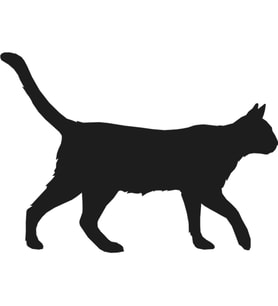 KEDİ FOLYO STİCKER 40cm Uzunluk