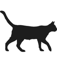 KEDİ FOLYO STİCKER 40cm Uzunluk