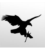 Folyo Sticker Kartal ADKPQUY625 40cm Uzunluk