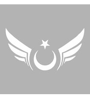 Kanatlı Türk Bayrağı Araba Sticker siyah 20x13 CM (Beyaz)