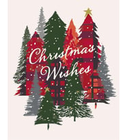 Christmas Wishes Sayılarla Boyama Seti 40x50 cm  (Tuvale Gerili)