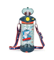 DREAM VEST KÖPEK BALIĞI ŞEFFAF MATARA 650 ML. (E)