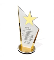 Kişiye Özel Plaket - Ahşap Plaket - Mezuniyet Hatırası - Okul Plaketi - 23cm x 12cm - Beyaz (Beyaz-Altın)