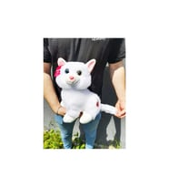 Sevimli Tatlı Peluş Kedi Büyük Boy (Çok Renkli)