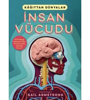 İnsan Vücudu