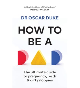 How To Be A Dad: The Ultimate Guide To Pregnancy, Birth & Dirty Nappies