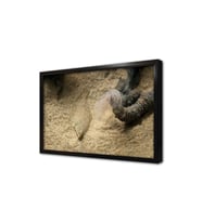 Denizaltı Çerçeveli Mdf Tablo