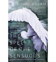 The Spell Of The Sensuous: Perception And Language In A More-Than-Human World