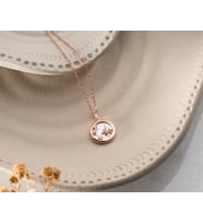 925 Ayar Papatya Silver kutup yıldızı kolye sedef kolye.rose.gold.rodaj