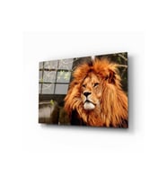 Miyrem Glasses Collection -A1^#  Aslan 3 Cam Tablo (Çok Renkli)