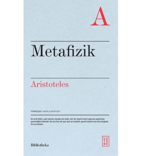 Metafizik