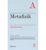 Metafizik