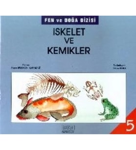 İskelet ve Kemikler