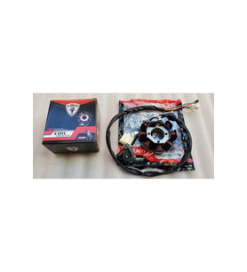 Mondial AGK 125 Statör 8li OEM