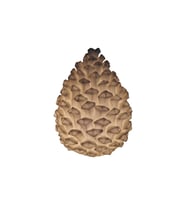 Lumienza Polyester Kozalak Masa Lambası GLR-24S6069LW (Beyaz)